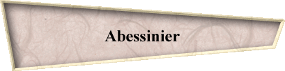 Abessinier
