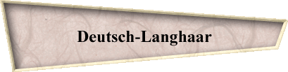 Deutsch-Langhaar