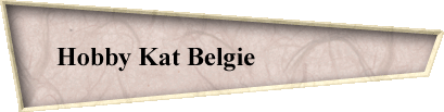 Hobby Kat Belgie                    