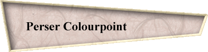 Perser Colourpoint                  
