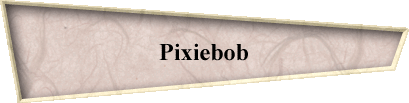 Pixiebob